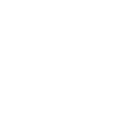 Lifespan Icon