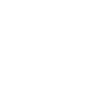 Rock Chip Icon