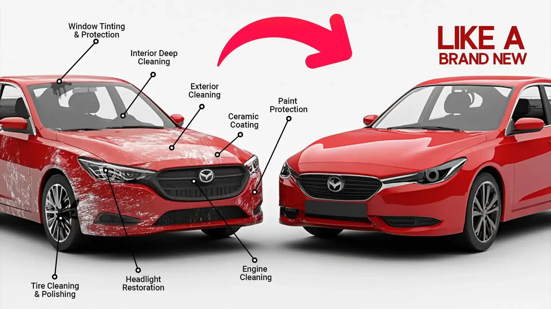 009ea1799c663b5a541665226d67a484